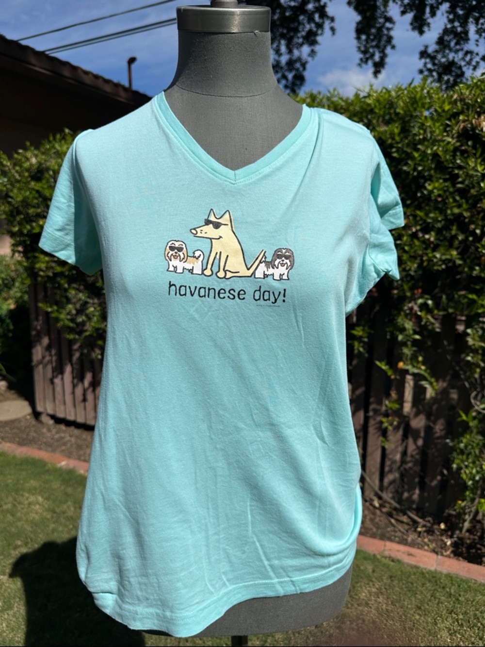 Havanese Day! Women's Light Blue V-Neck Tee